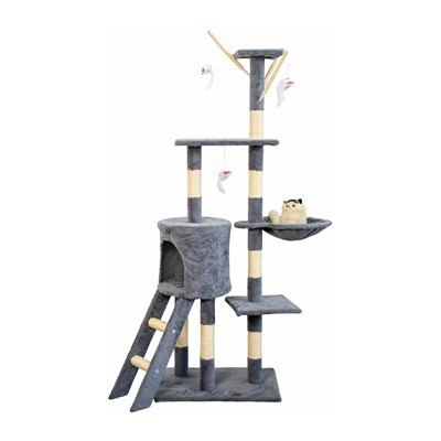 Skryté dutiny mačiek